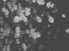 -波塞冬旅游度假区