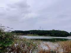-海珠湖公园