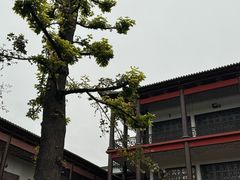 -南华禅寺