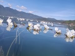-丽江泸沽湖景区