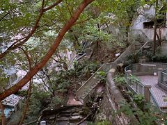 -香港大学