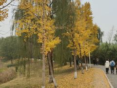 -白鹭湾湿地公园