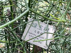 -广州神农草堂中医药博物馆