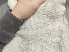 -天鹅到家·保姆月嫂育儿嫂(天河店)