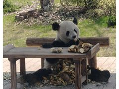 -无锡动物园·太湖欢乐园