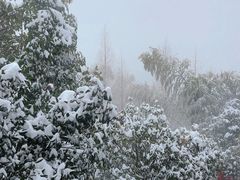 -江南天池高山汤泉城