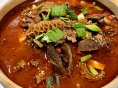 -琥珀老六龙虾(四里河店)