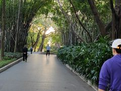 -晓港公园