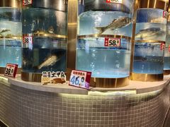 -蜀滋香鲜鱼美蛙火锅(339店)