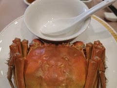 -王宝和酒家(黄浦店)