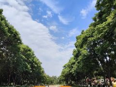 -玄武湖景区-情侣园游乐场