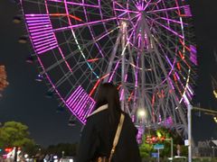 -南昌之星摩天轮