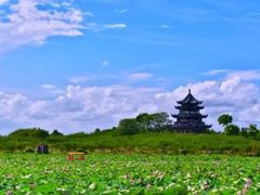 -上海滨江森林公园