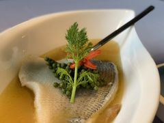 fusion水煮鱼-梧桐北京烤鸭·铜锅涮肉(海岸城店)