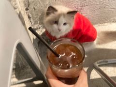 -来回·咖啡(天河南店)