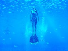 -上海海昌海洋公园
