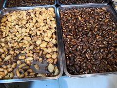-昆虫窝子·特色云南菜(拓东路总店)