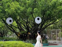 -东南花都花博园