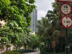 -香港大学