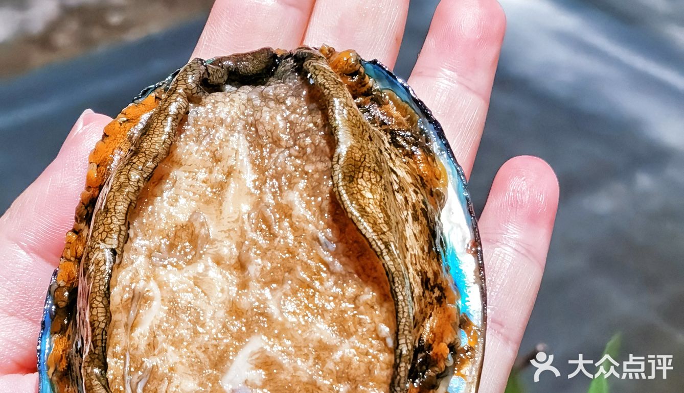 总要吃一次高品质的豪华自助吧！