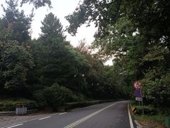 -句容茅山景区