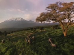 -翱翔飞越地平线