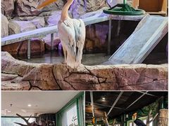 -海合安武汉极地海洋公园