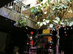 -大理岛·精品云南菜·音乐餐厅