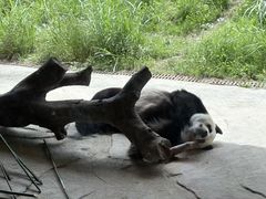 -宁波野生动物园
