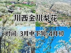 -伊犁河风景区