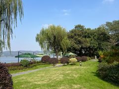 -杭州西湖柳莺里酒店·闻莺厅