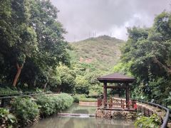 -月亮湾公园