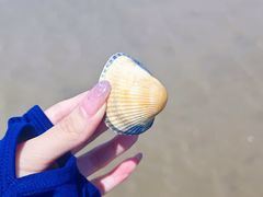 -启东黄金海滩景区
