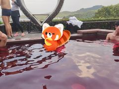 -天目湖涵田半山温泉