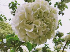 -杭州城北体育公园