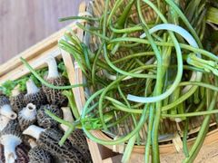 -阿婆情腊排骨火锅·野生菌季(古城旗舰店)