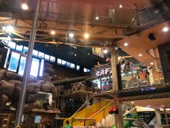 -卡通尼·Safari非洲探索乐园·生日会(金桥国际商业广场店)