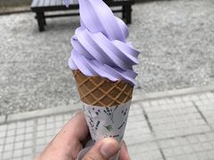 -富田农场