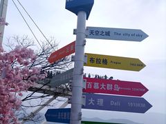 -仙岛湖旅游风景区