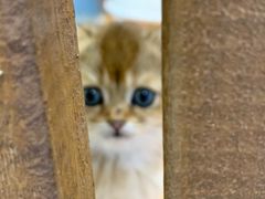-龟与熊猫宠物公园(南坪店)