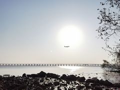 -宝安西湾红树林湿地公园