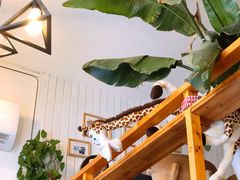 -长颈鹿咖啡(大学路店)