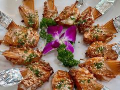 -港升鱼师傅·中山脆肉鲩