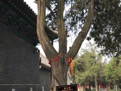 景点-关林