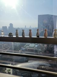 -JNK皮肤管理中心