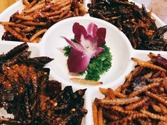 昆虫拼盘-醉云喃