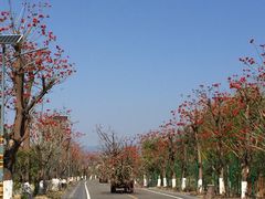 -月亮湾景区