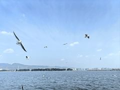 -海埂大坝