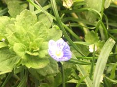 -艾溪湖湿地公园