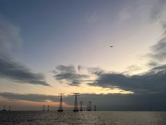 -宝安西湾红树林湿地公园